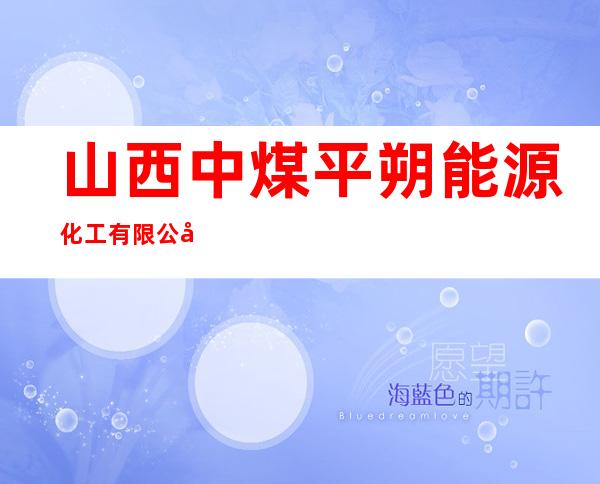 山西中煤平朔能源化工有限公司